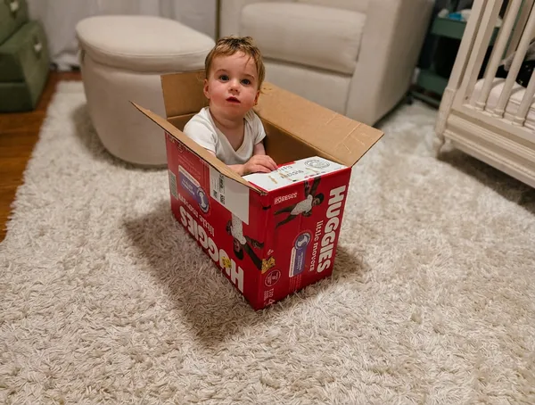 Generated Image January 09, 2026 - 11_15AM.jpeg